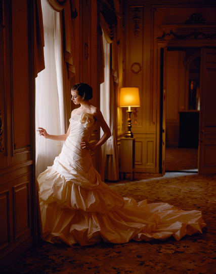 Dress Photo [CB-027]