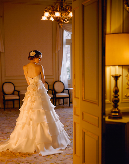 Dress Photo [CB-023]