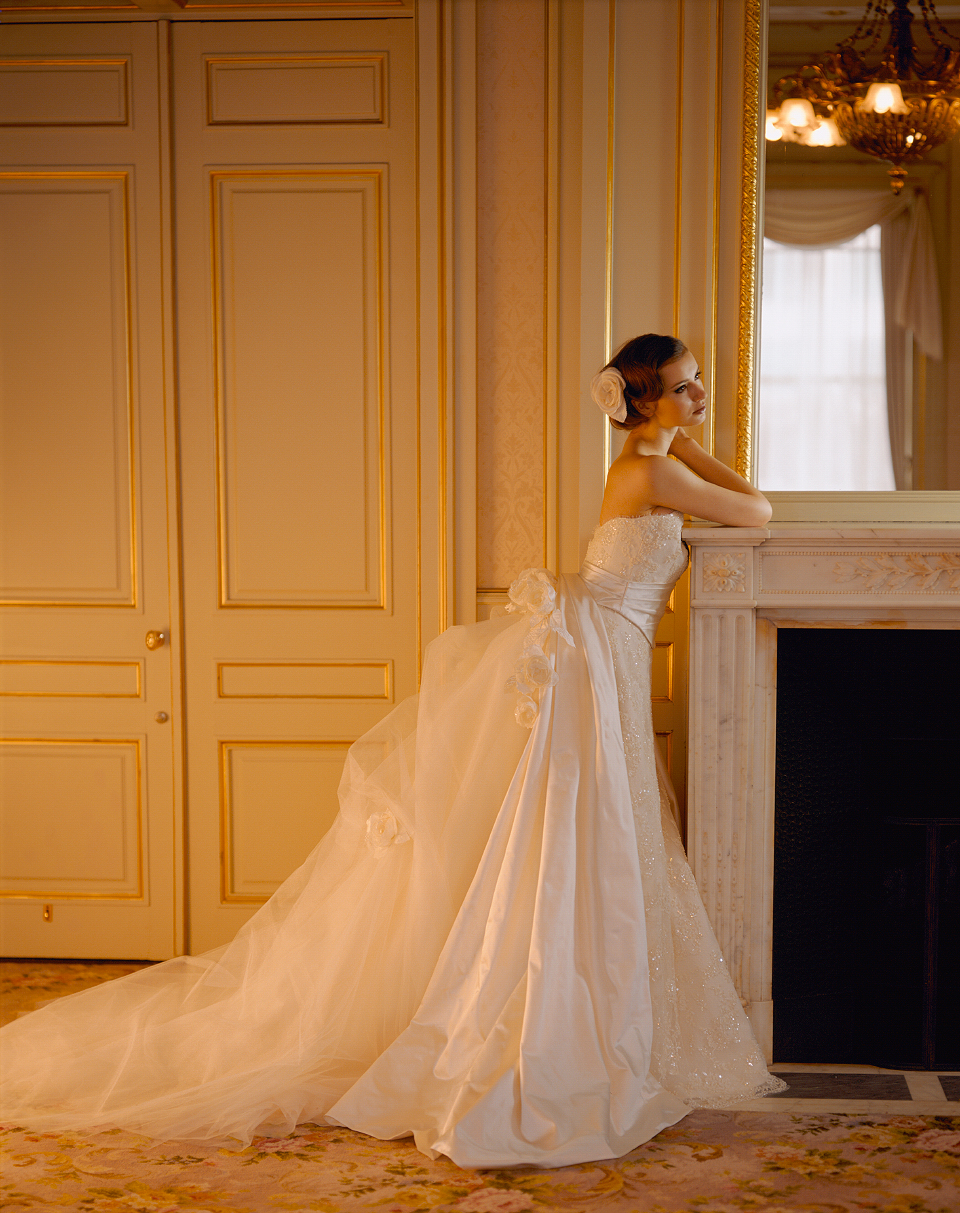 Dress Photo [CB-022]