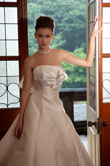 Dress Photo [CB-040 Back Style]